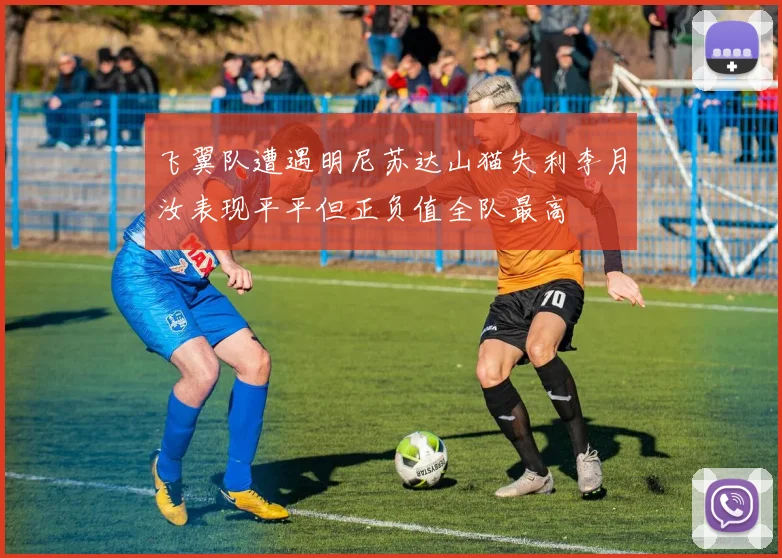 飞翼队遭遇明尼苏达山猫失利李月汝表现平平但正负值全队最高